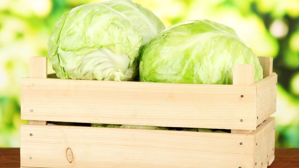 Для хранения капусту нужно сначала завернуть в бумажные полотенца, а затем замотать пищевой пленкой