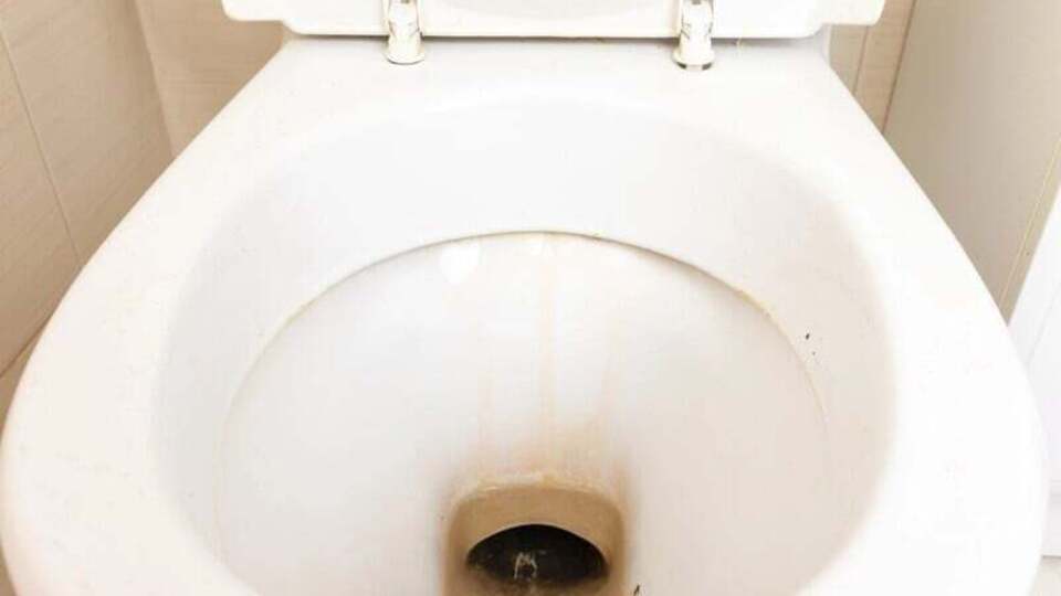 Рекомендуемый раствор рекомендуют оставить в унитазе на ночь