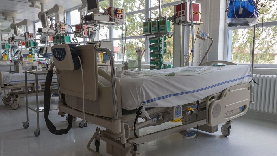 Врач посоветовал есть простую и полезную пищу