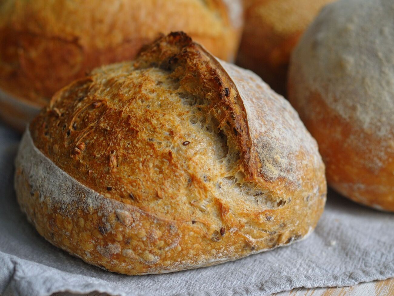 Если в закваске появилась плесень, выбросьте все и начните с самого начала