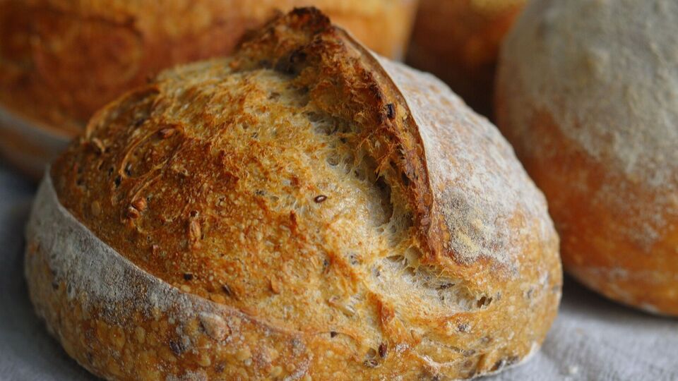 Если в закваске появилась плесень, выбросьте все и начните с самого начала