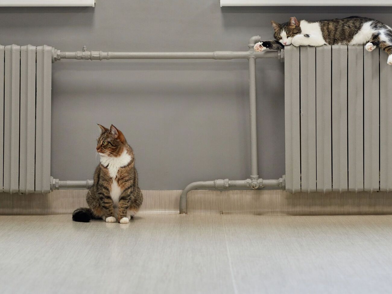 Решение о начале отопительного сезона в украинских городах принимают местные власти