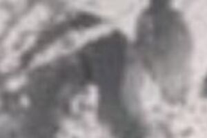 Наконечний захищав Україну на фронті три з половиною роки