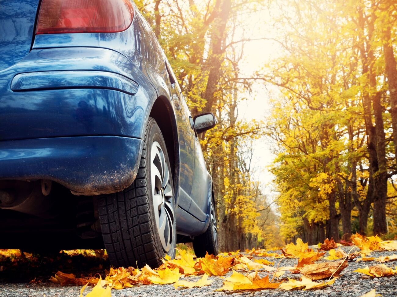 При виде паука нужно сохранять спокойствие