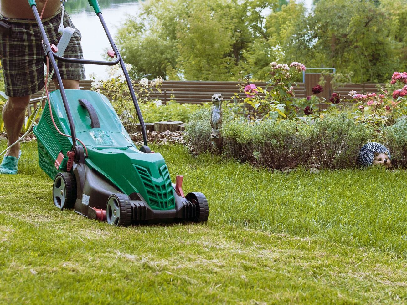 Специалисты советуют своевременно ухаживать за садовой техникой