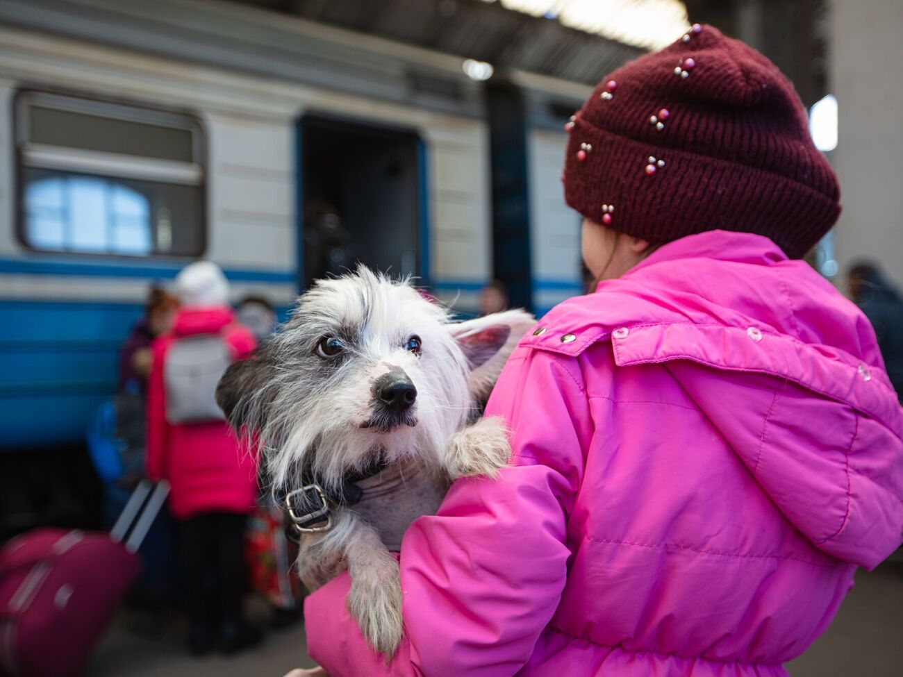 Загалом влада планує вивезти в безпечніші місця 601 дитину