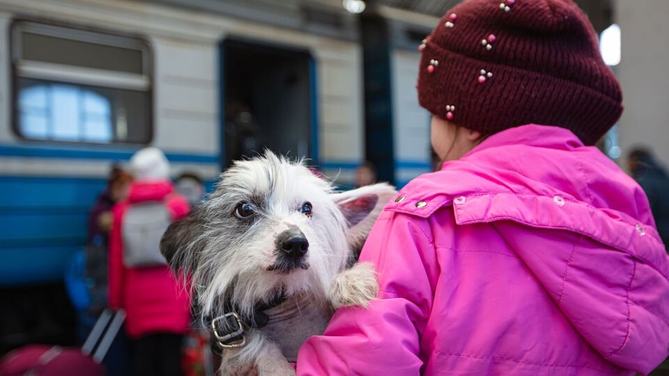 Загалом влада планує вивезти в безпечніші місця 601 дитину