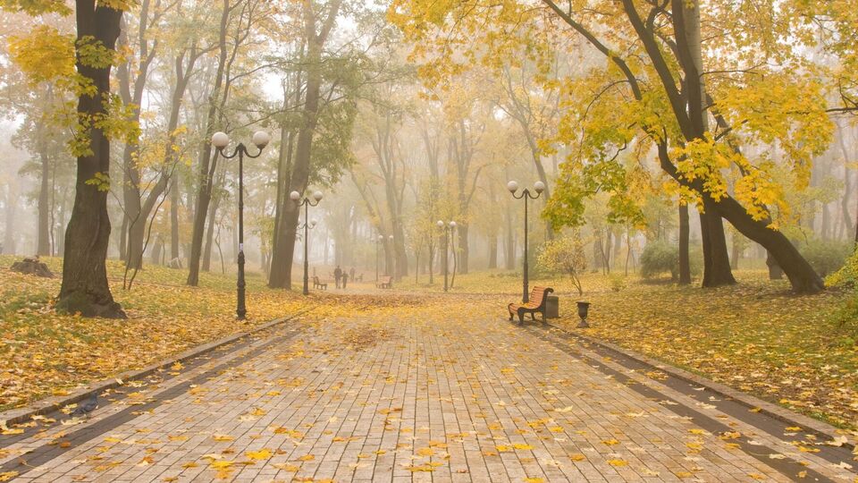 В Украине будет холодно