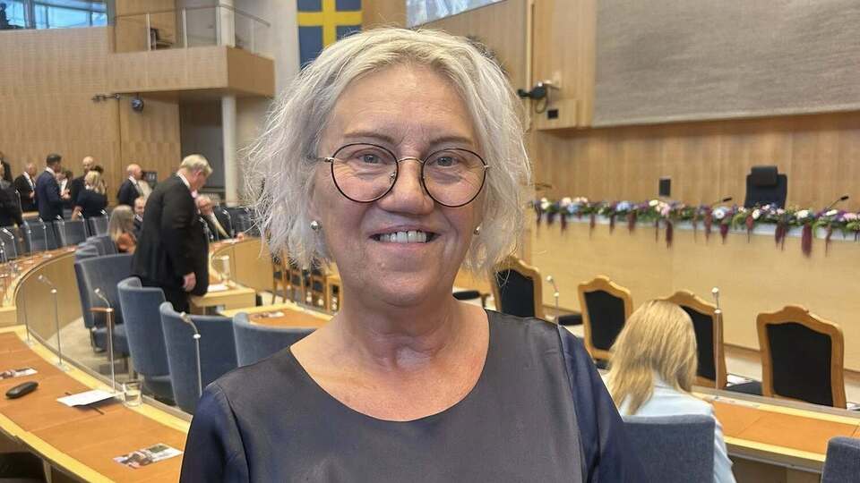 Депутат шведского парламента Эдебринк была назначена спецпредставителем по вопросу похищений и депортаций украинских детей Россией