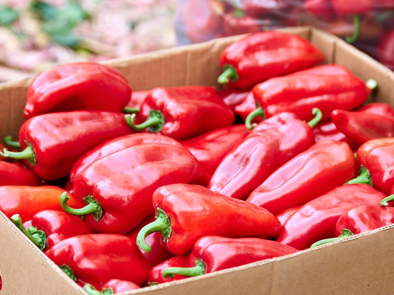 Щоб перець зберігся в ідеальному стані, його потрібно викласти тонким шаром у пластикові ящики з отворами