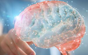 Пик всеобщего психологического функционирования приходится на возраст между 55 и 60 годами