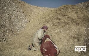 Ідея перевезти тіла виникла 2018 року, пише Reuters