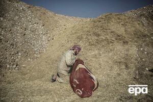 Идея перевезти тела возникла в 2018 году, пишет Reuters