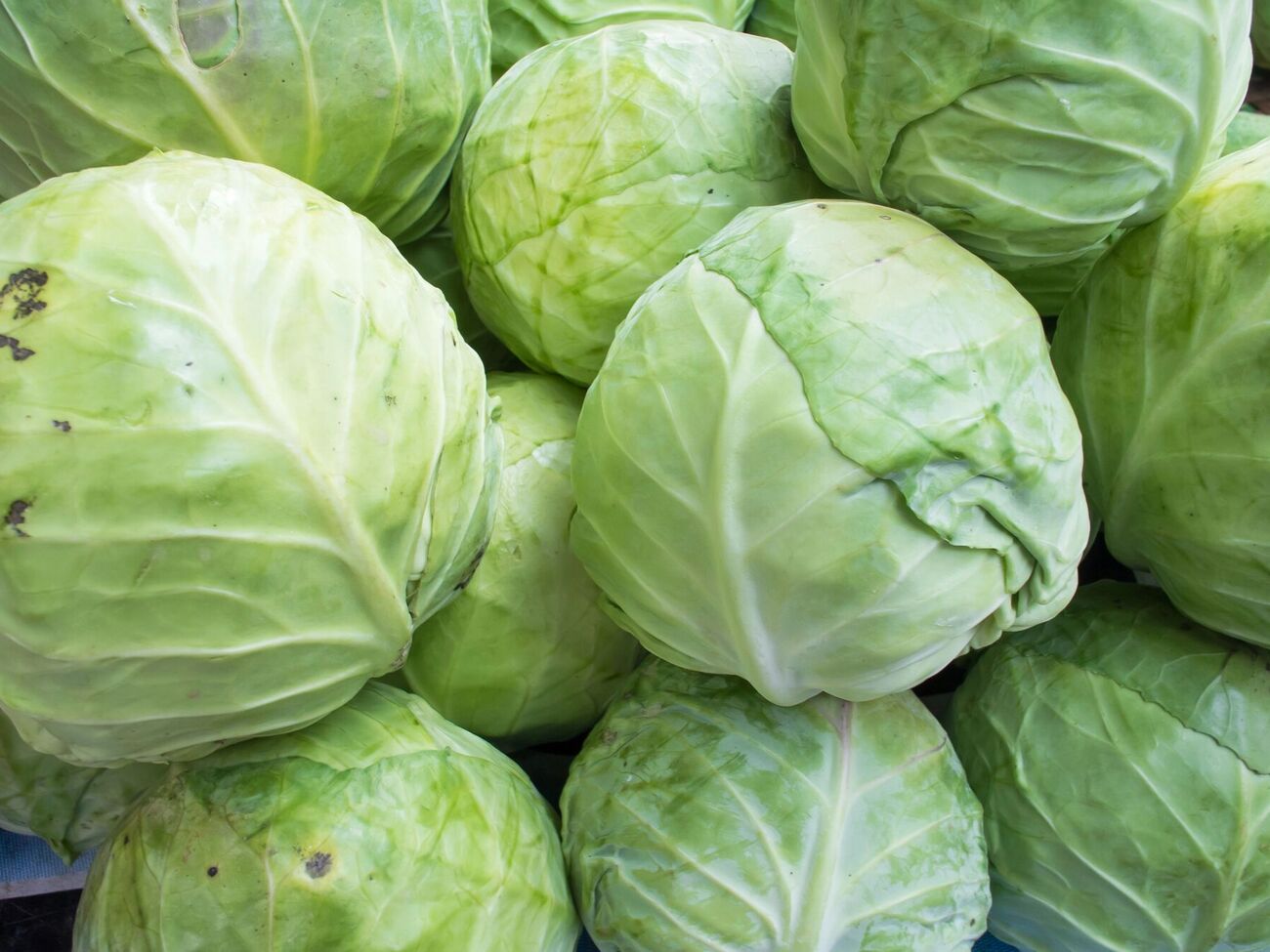 Для этого способа хранения понадобится пищевая пленка