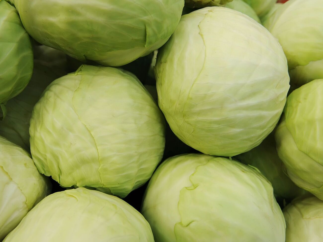 Капусту следует хранить при определенной температуре