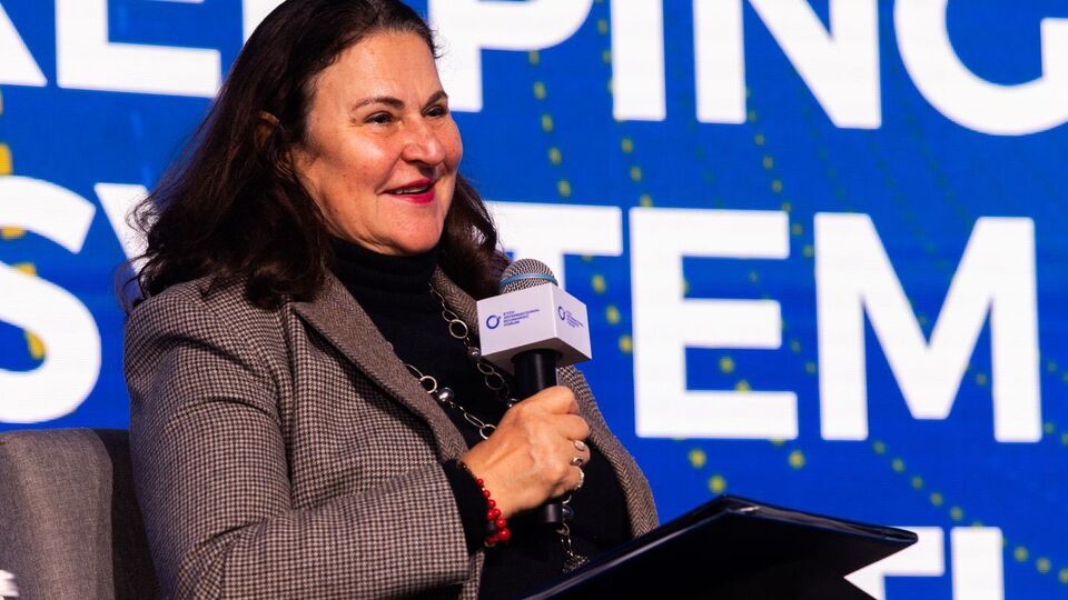 ДТЭК добился значительного успеха в развитии децентрализованной энергетики – посол ЕС