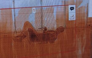 Во время проверки фуры сканер показал силуэт человека, рассказали в ГТСУ