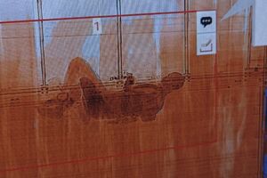 Під час перевірки фури сканер показав силует людини, розповіли у ДМСУ