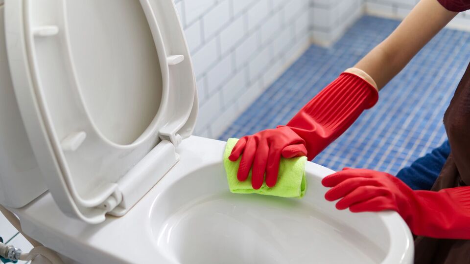 Унитаз будет чистым и ухоженным