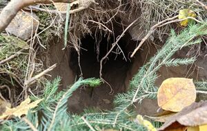 Подкоп начинался на территории Беларуси