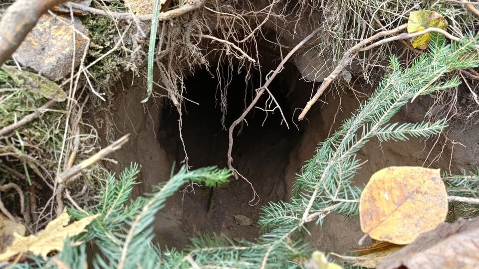 Подкоп начинался на территории Беларуси