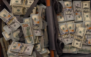 Следственные действия прошли сразу в 24 квартирах и домах