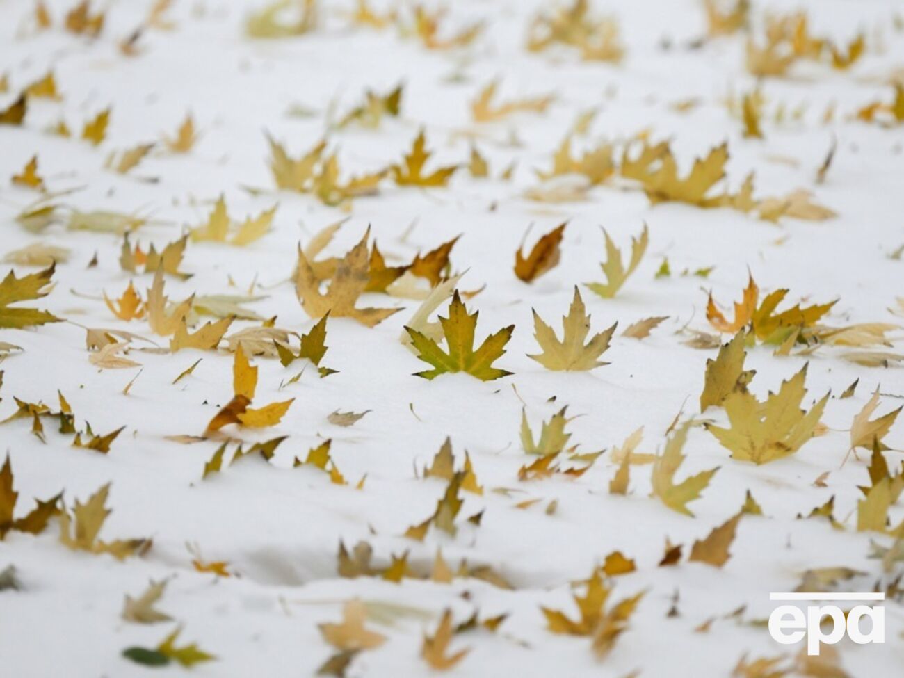 В выходные будет резкое похолодание