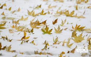 В выходные будет резкое похолодание