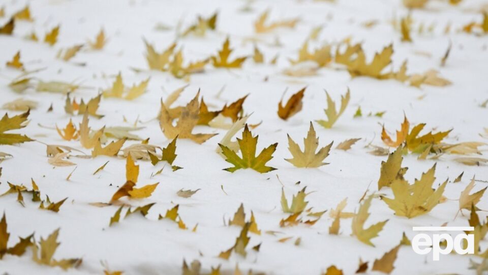 В выходные будет резкое похолодание