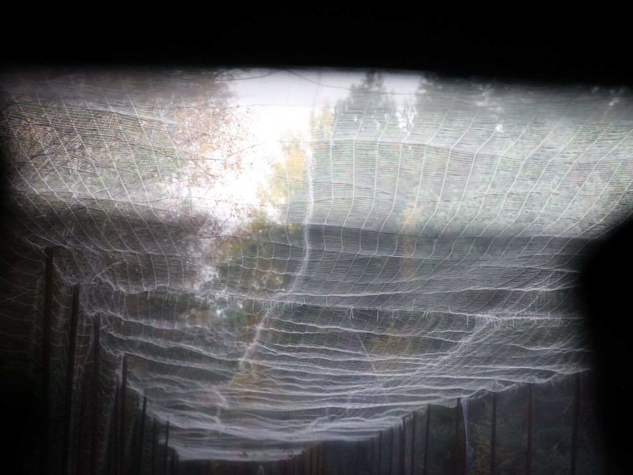 В Киевской ОВА сообщили об укреплении северного щита столицы