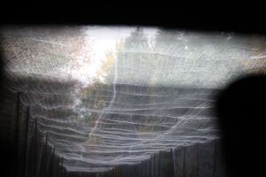 В Киевской ОВА сообщили об укреплении северного щита столицы