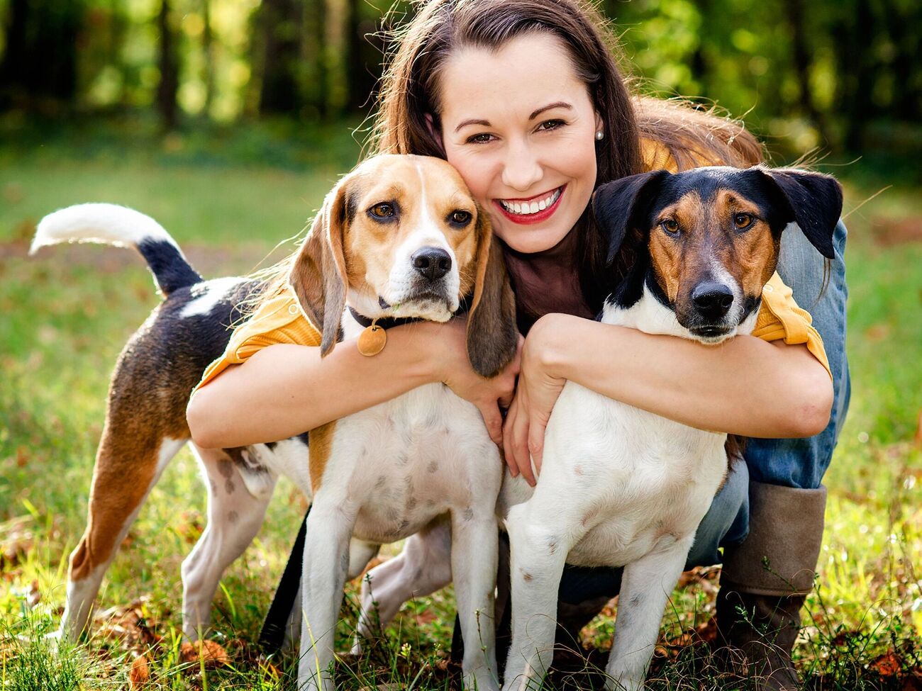 За положенням хвоста собаки можна зрозуміти його настрій