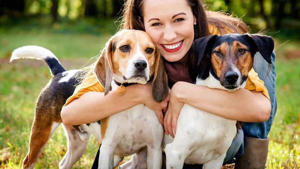 По положению хвоста собаки можно понять ее настроение