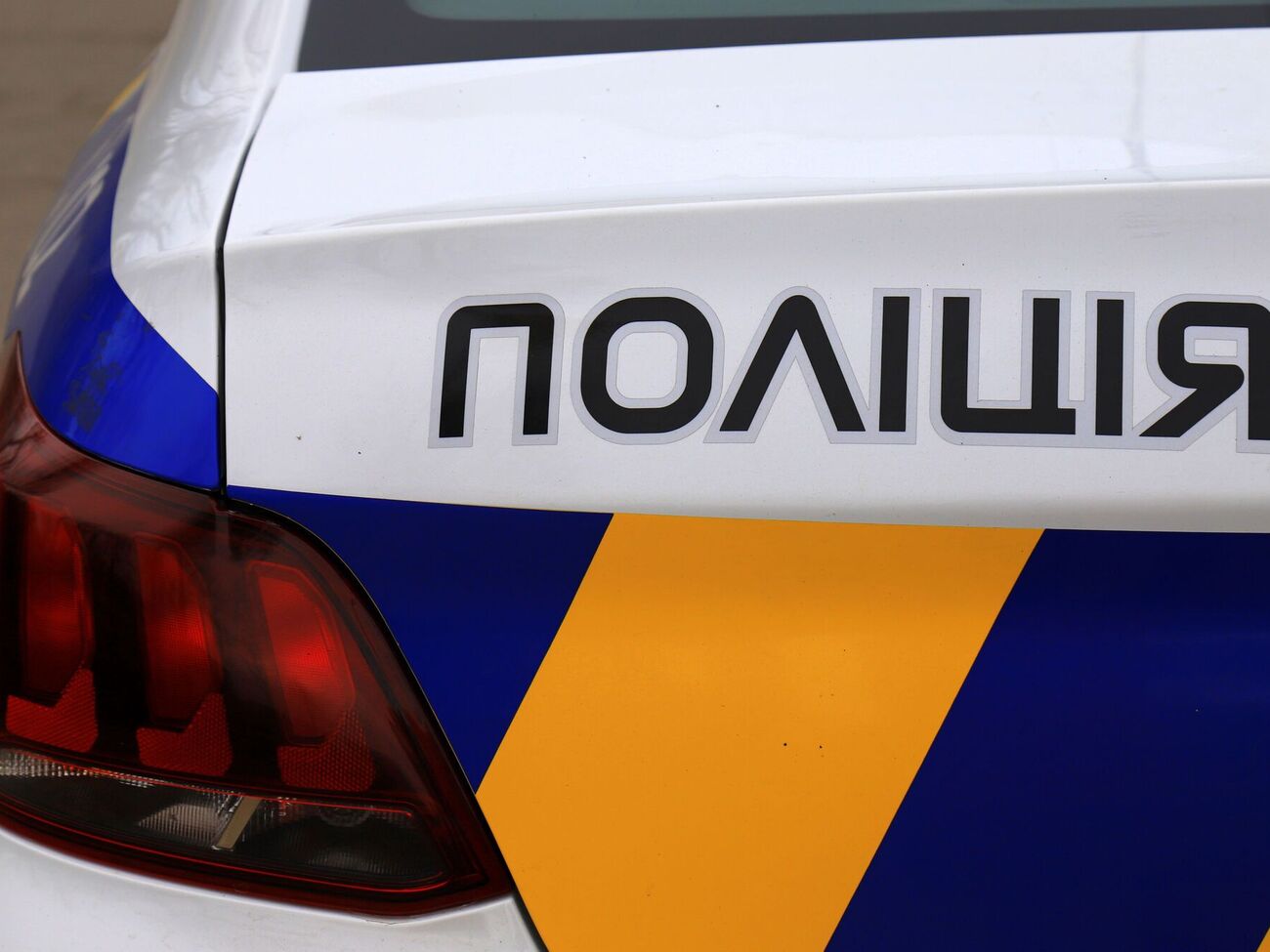 В полицию поступило сообщение о теле собаки под окнами многоэтажки, на место выехала следственно-оперативная группа