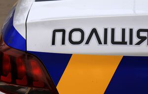 В полицию поступило сообщение о теле собаки под окнами многоэтажки, на место выехала следственно-оперативная группа