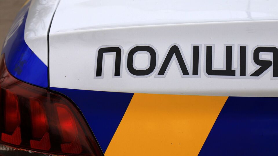 В полицию поступило сообщение о теле собаки под окнами многоэтажки, на место выехала следственно-оперативная группа