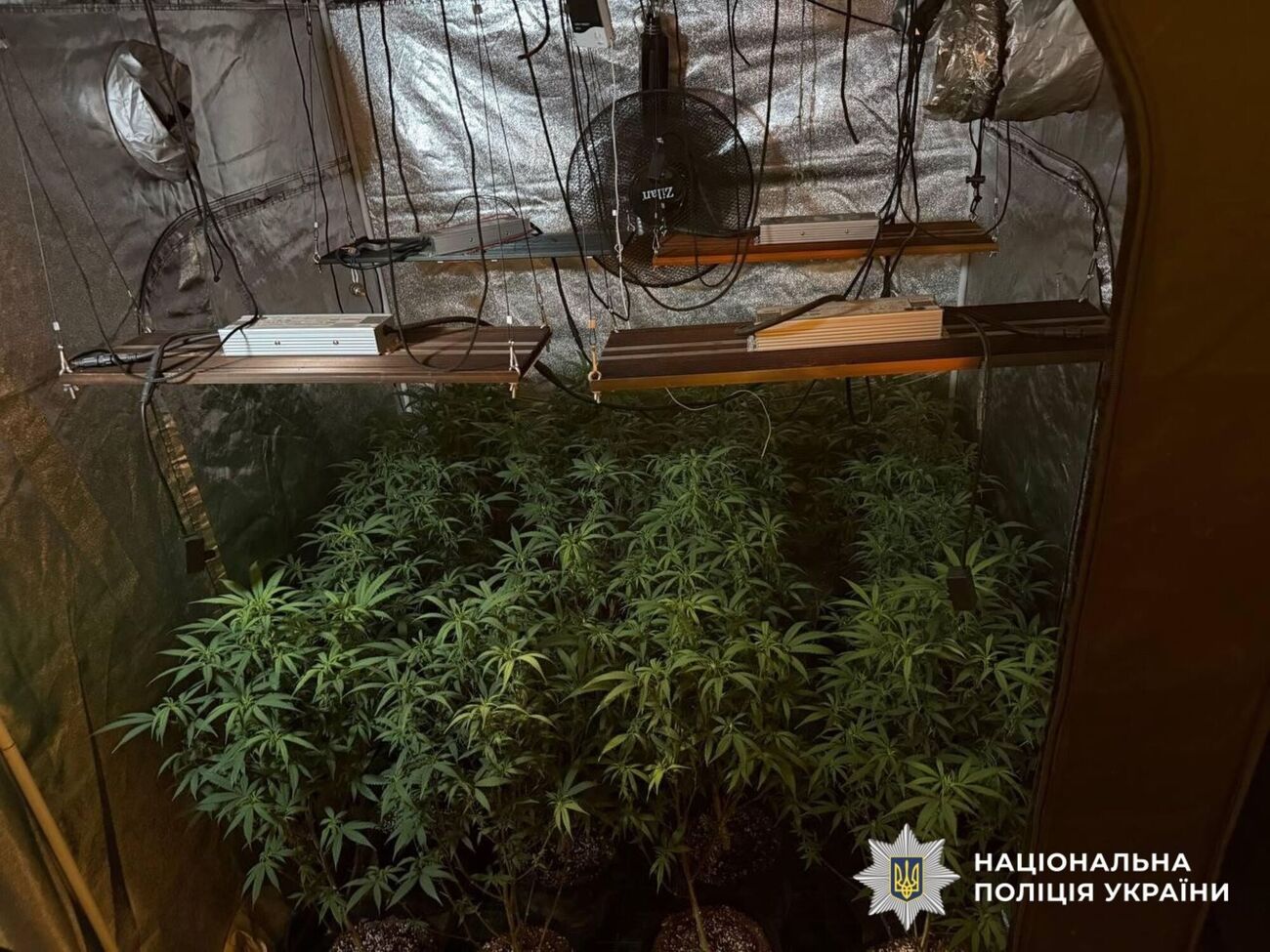 Правоохранители изъяли более 5,7 тыс. доз наркотиков общей стоимостью около 27 млн грн