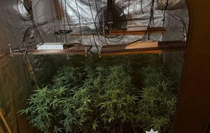 Правоохоронці вилучили понад 5,7 тис. доз наркотиків загальною вартістю приблизно 27 млн грн