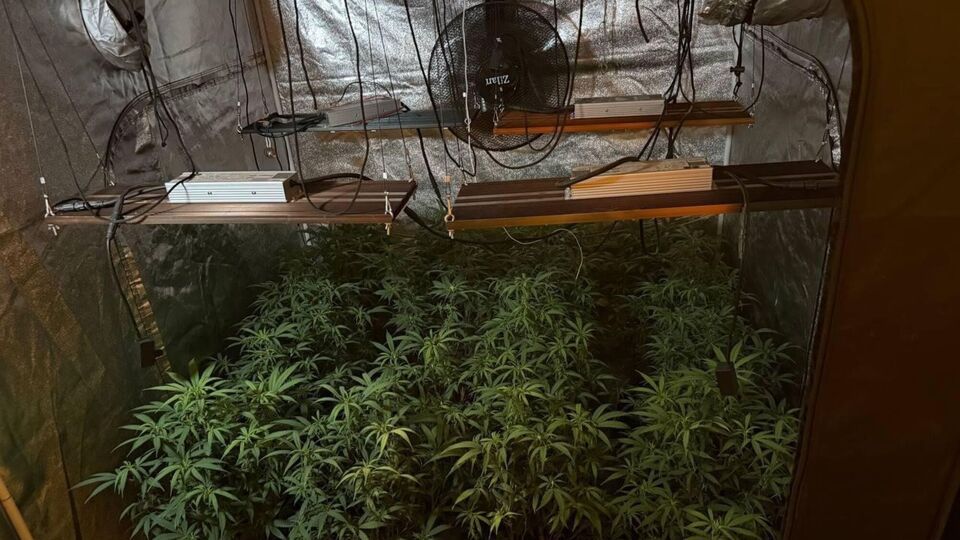 Правоохранители изъяли более 5,7 тыс. доз наркотиков общей стоимостью около 27 млн грн