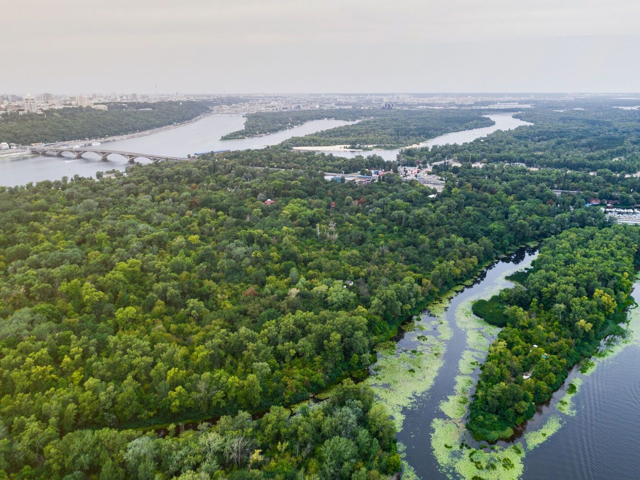 Компания подчеркнула, что прекращала деятельность из-за нереста