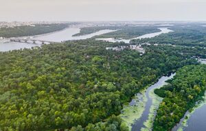 Компания подчеркнула, что прекращала деятельность из-за нереста