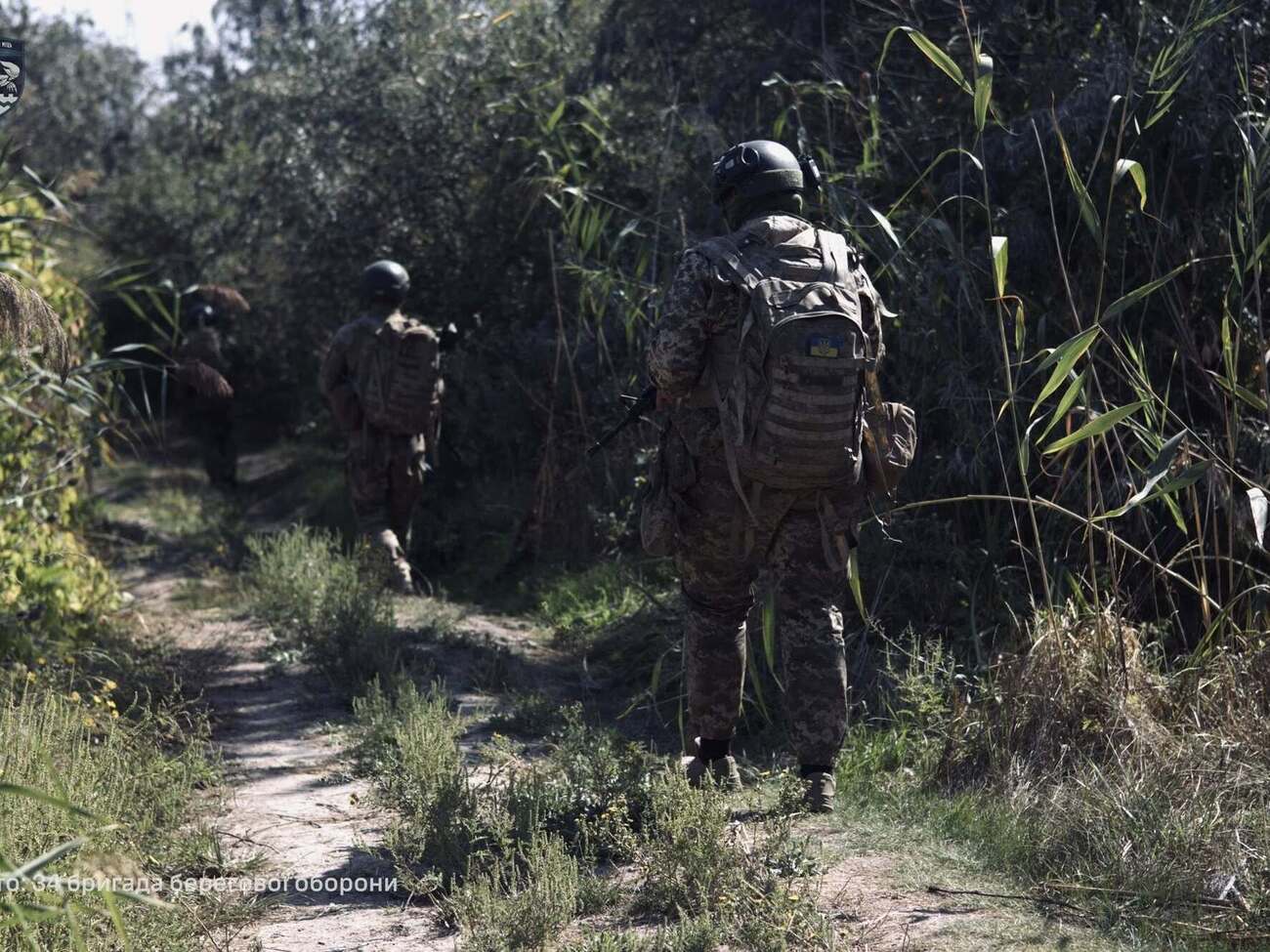 Українські морпіхи тримають оборону рубежів у Херсонській області