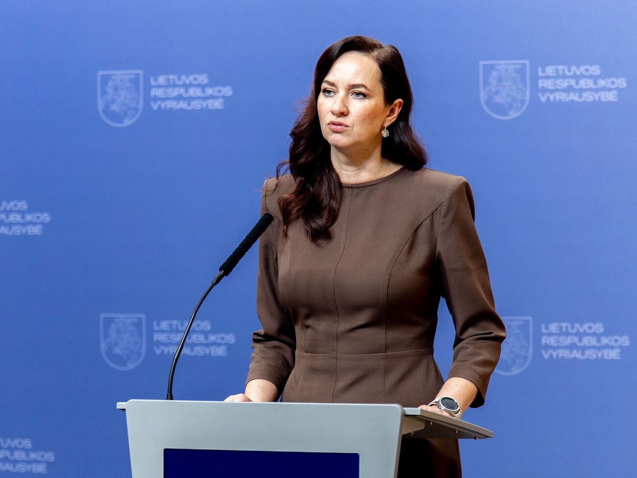 Станом на зараз немає даних, що запуск метеорологічних куль – це "скоординована операція" Лукашенка, зазначила Ругінене