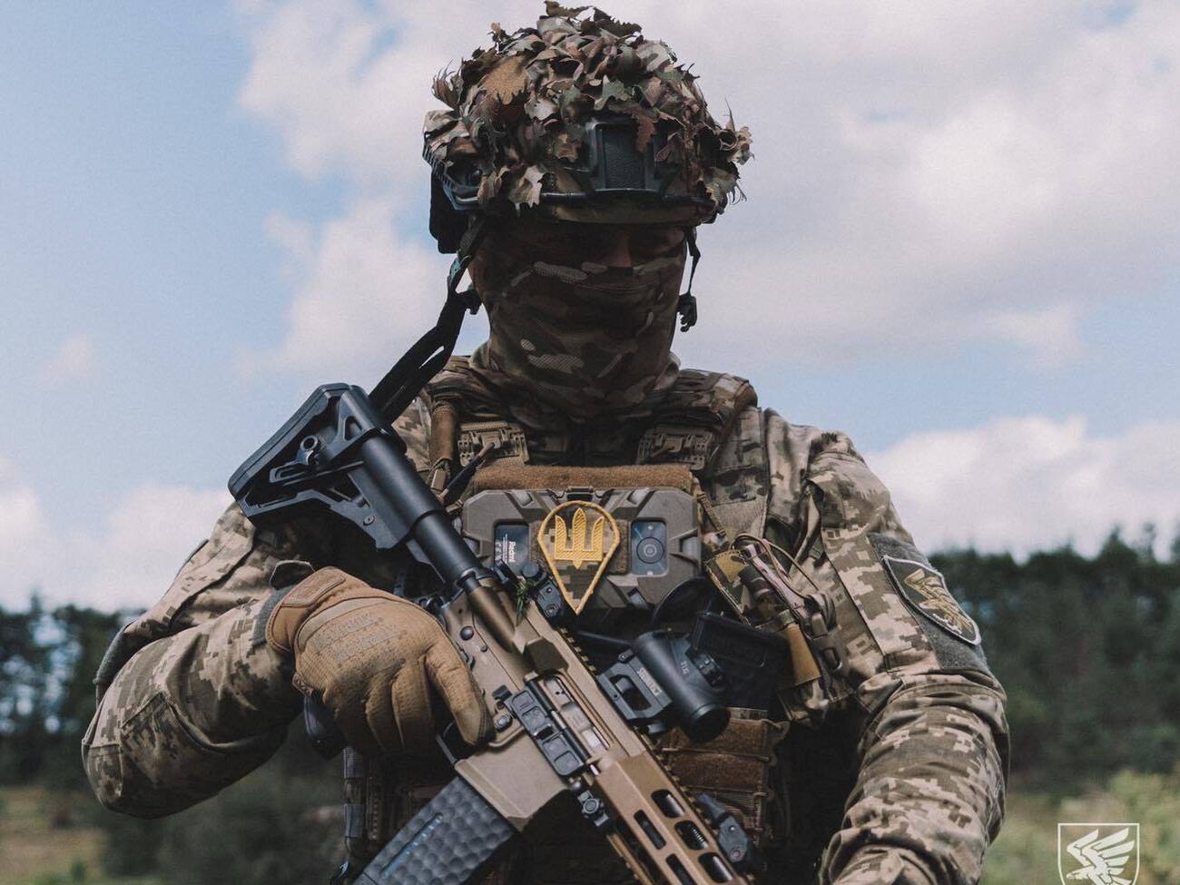 Подразделения Десантно-штурмовых войск освободили населенный пункт на добропольском направлении, сообщило командование ДШВ ВСУ