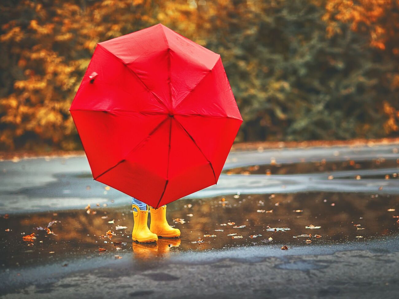 В пятницу будет преимущественно сухо, ночью местами дожди, в Карпатах – дождь с мокрым снегом