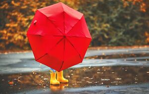 В пятницу будет преимущественно сухо, ночью местами дожди, в Карпатах – дождь с мокрым снегом