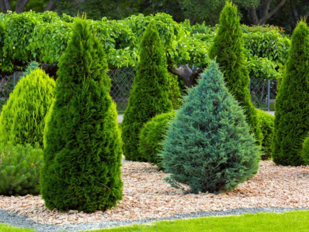 Сад має бути не тільки гарним, але й зручним у догляді