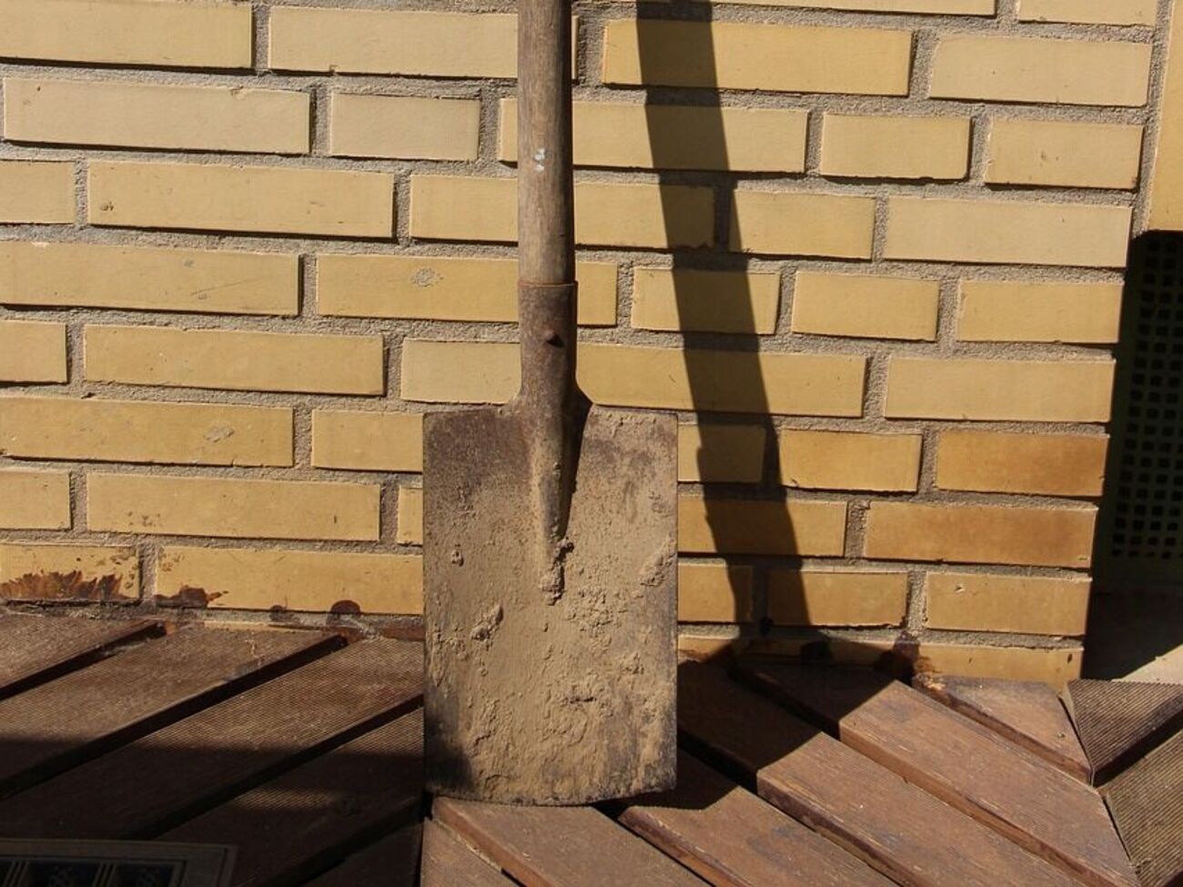 Прокуратура пишет, что женщина призналась, что закопала плод