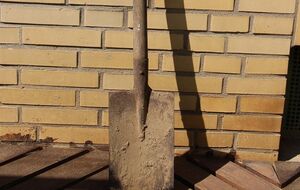 Прокуратура пишет, что женщина призналась, что закопала плод