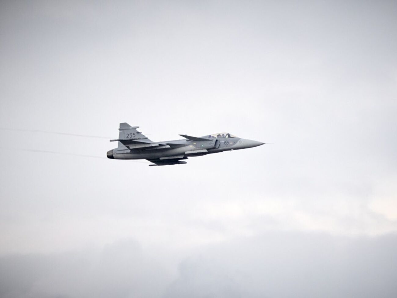 На Gripen быстрее всего учатся, отметил Зеленский